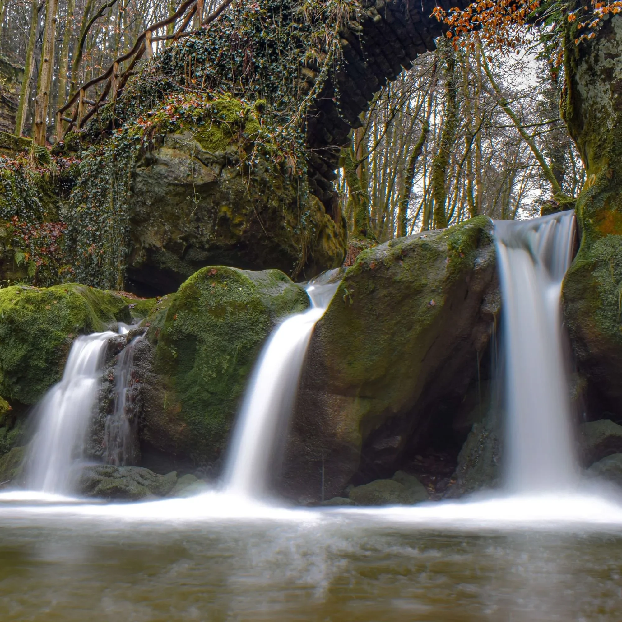 Cascade sur rochers boisés en automne.