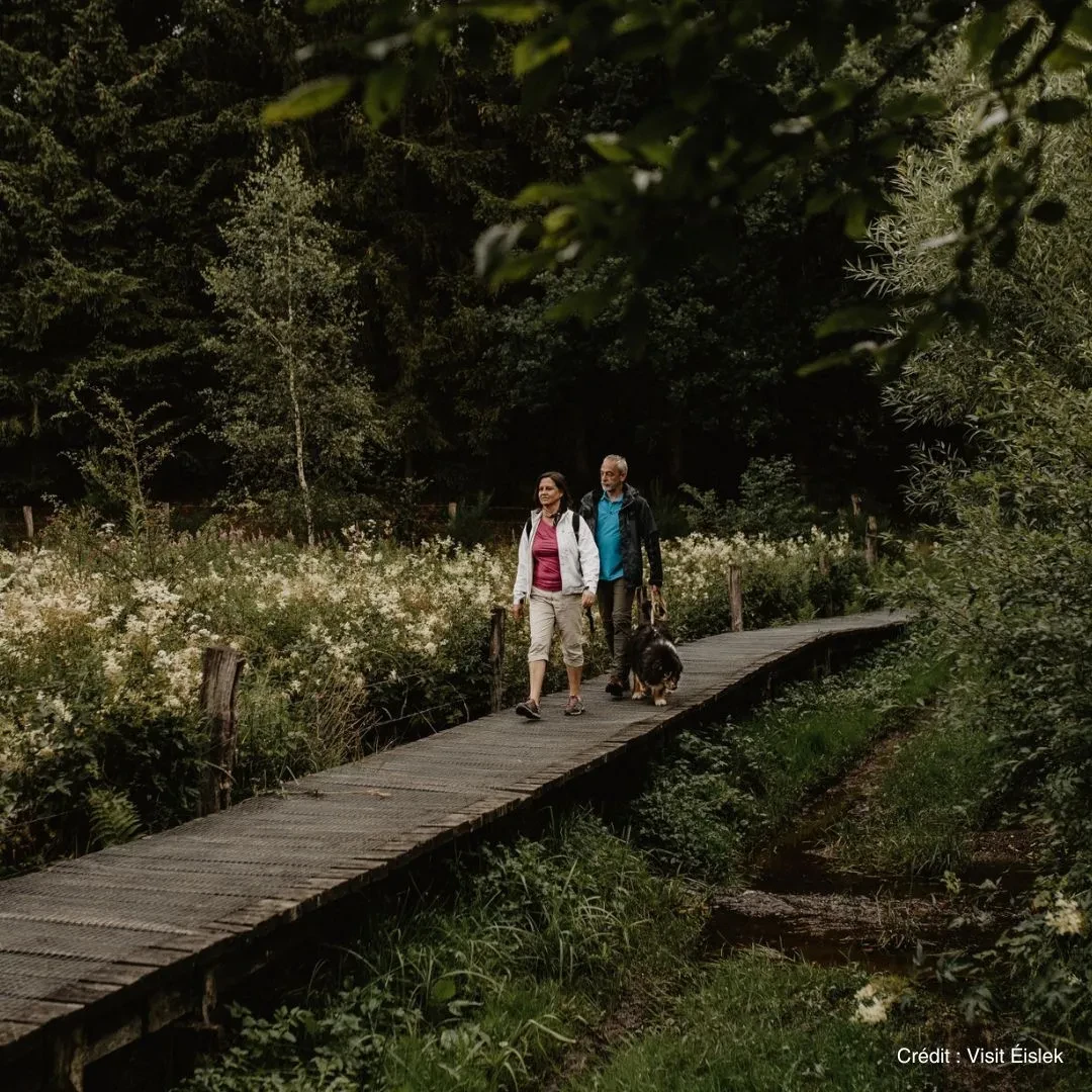 Sentier didactique Conzefenn - Séjour Bien-être Luxembourg - Anatura Luxembourg