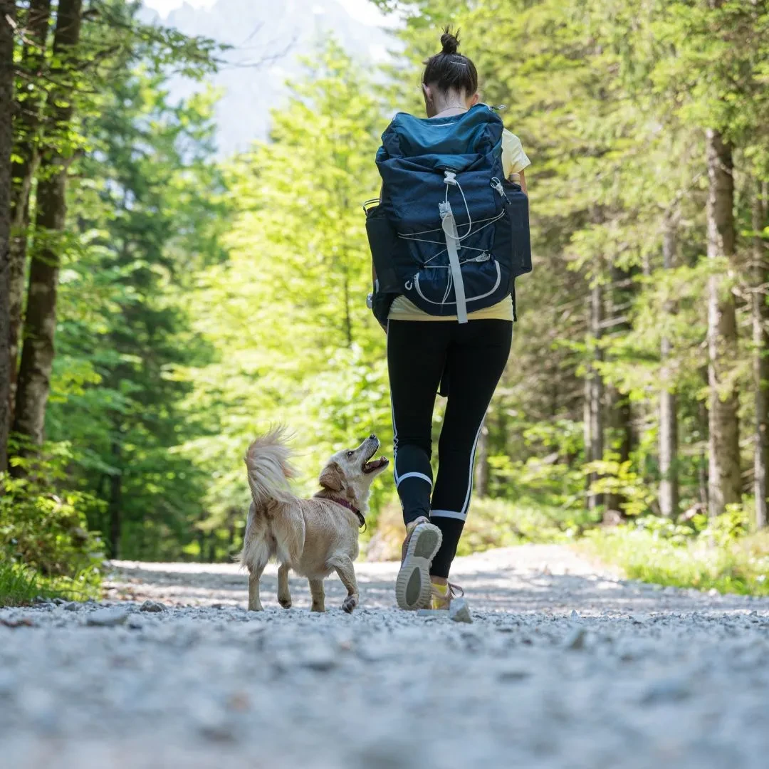 Randonneuse et chien sur chemin forestier - Séjour Bien-être Luxembourg - Anatura Luxembourg