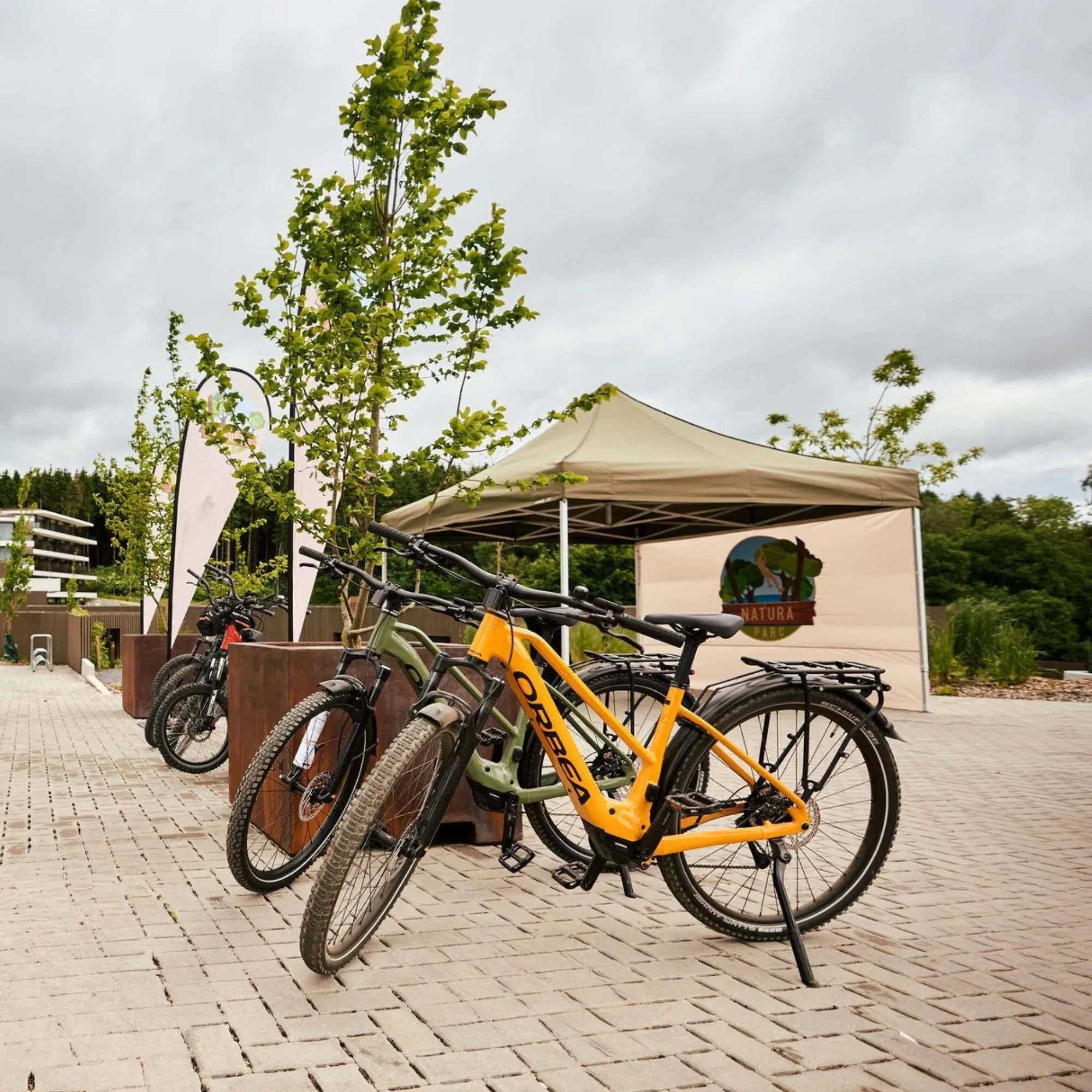 Location de vélos électriques à Weiswampach